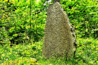 Olsbro stenen, Västergötland. Guve reste denna sten efter Olav, sin son, en mycket dugande dräng Han blev dräpt i Estland. Hårvard högg stenen. 1280 72dpi BAC6098 019029